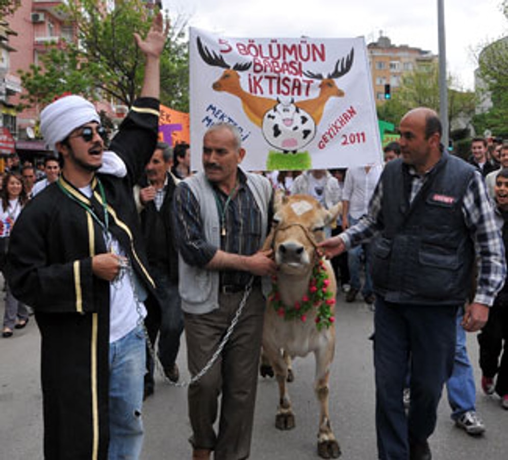 Ankara Üniversitesi Cebeci Kampüsü Hakkında Bilinmesi Gerekenler