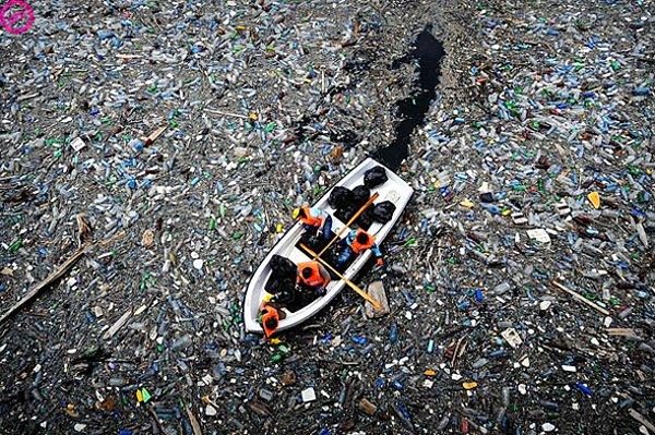 Asıl acı gerçek şu ki, her yıl 12 milyon ton plastik okyanus ve denizlere karışıyor maalesef...
