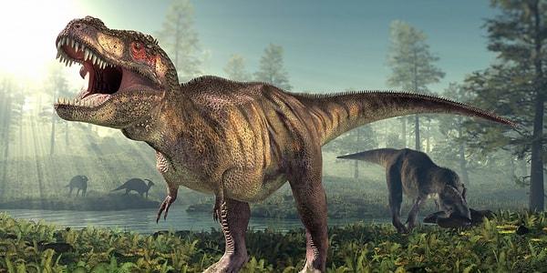12. 'Dinozor' sözcüğü, Yunanca "korkunç kertenkele" anlamına gelen sözcükten türemiştir.
