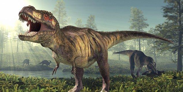 13. 'Dinozor' sözcüğü, Yunanca "korkunç kertenkele" anlamına gelen sözcükten türemiştir.