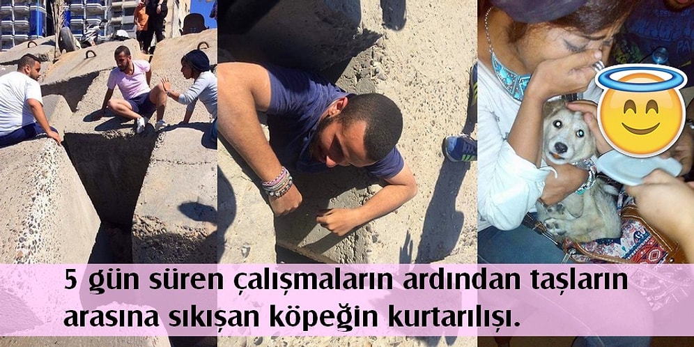 İnsanlığa Olan İnancınızı Tazeleyen Davranışlarıyla İçinizi Isıtacak 27 Kişi