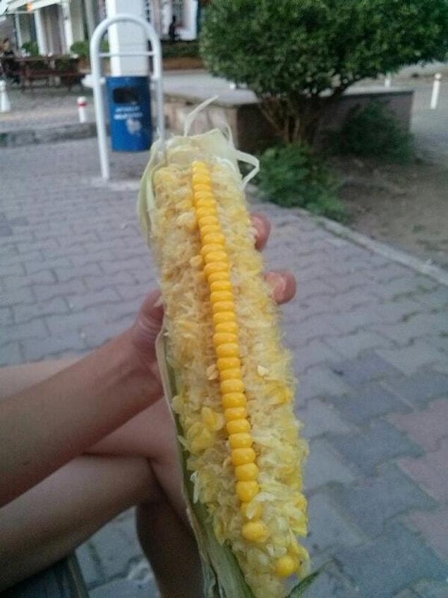 3. Leaving one line of corn.