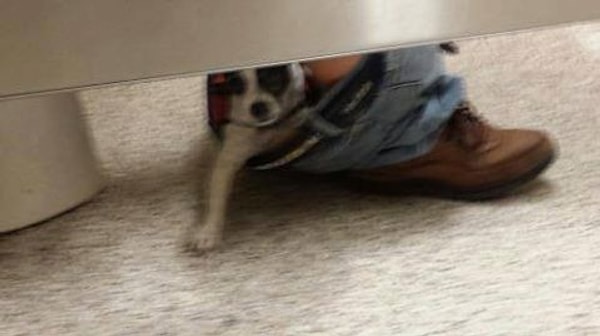 27. Это вообще что?