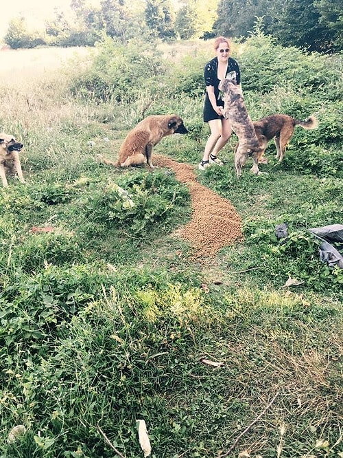 Her hafta Goody, King, Croc Dog, Red Bag gibi 10 paketi aşkın mama bu canlarla buluşturuluyor. Çünkü bu ıssız ormanda yaşamlarını sürdürebilmek için yardıma muhtaç ve oldukça kalabalıklar.