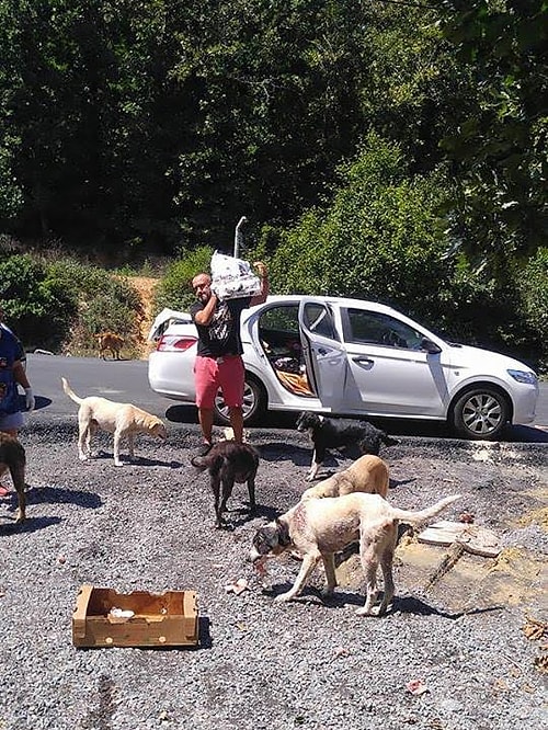Her hafta Goody, King, Croc Dog, Red Bag gibi 10 paketi aşkın mama bu canlarla buluşturuluyor. Çünkü bu ıssız ormanda yaşamlarını sürdürebilmek için yardıma muhtaç ve oldukça kalabalıklar.