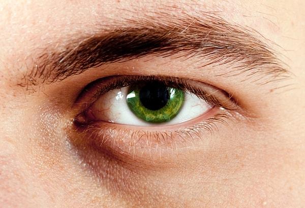 20. Gözlerimiz, kendilerini çok çabuk iyileştirme yeteneğine sahiptir. Doğru bir bakımla korneadaki çizikler 48 saatte tamamen onarılabilmektedir.