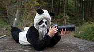 İşini Sevmek Böyle Bir şey! Ami Vitale'in Çektiği Muhteşem Panda Fotoğrafları