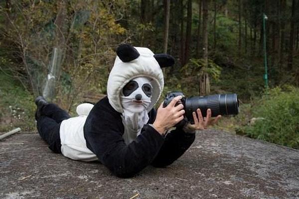 National Geography'nin foto muhabiri Ami Vitale, 3 yıldır Çin'deki Wolong Doğa Koruma Alanı ile ilgili bir proje üzerinde çalışıyordu. Bazı vahşi pandaların hayatınızda görmediğiniz hallerini yakalamayı başardı.