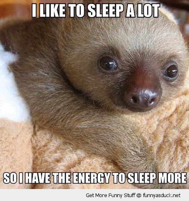 11. There's no such thing as too much sleep...