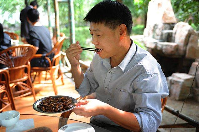 11. Hamam böcekleri Çin'de ve diğer bazı Uzak Doğu ülkelerinde kızartılarak servis edilmektedir.