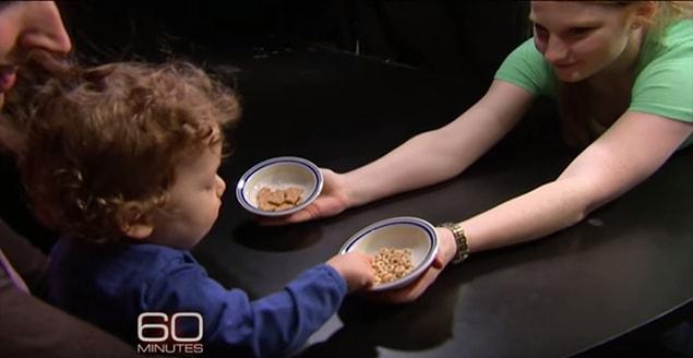 In another experiment, babies are offered a cracker and cereal. The babies chose one of them. Afterwards, two puppets also choose between a cracker and cereal. Then babies are shown the puppets.