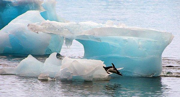 ‘Doğu Antarktika'nın sonunun başlangıcı olarak nitelendirmek için henüz erken’