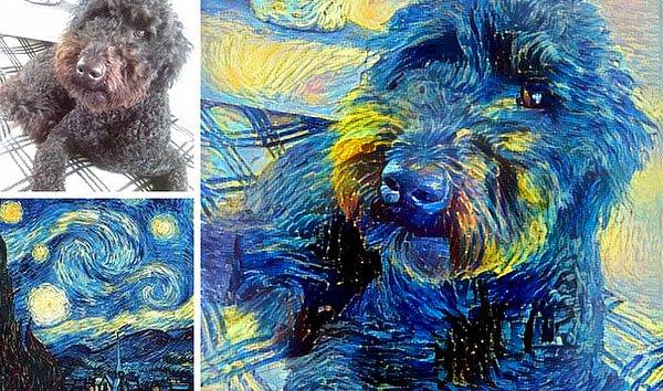 7. Van Gogh'un 'Yıldızlı Gecesi' köpeğinizle buluştuğunda aşağı yukarı böyle bir şey ortaya çıkıyor.