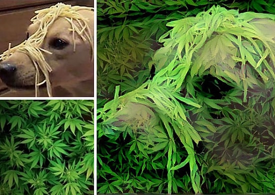 Böylesi Ancak Rüyalarda Olur! Alakasız Fotoğrafları Karıp Sanat Yapan Bilgisayar Sistemi