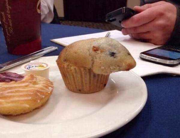 12. Остается надеяться, что это ненастоящая мышь