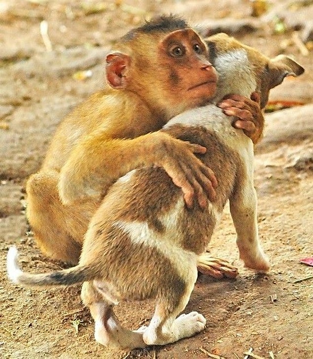 15. Free hugs everyone!