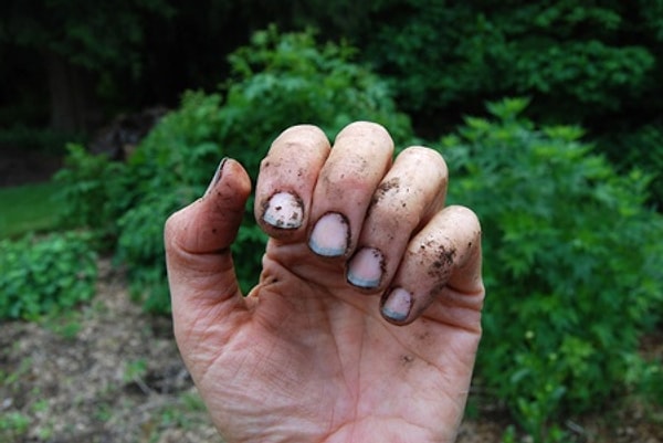 6. Не чистила ногти