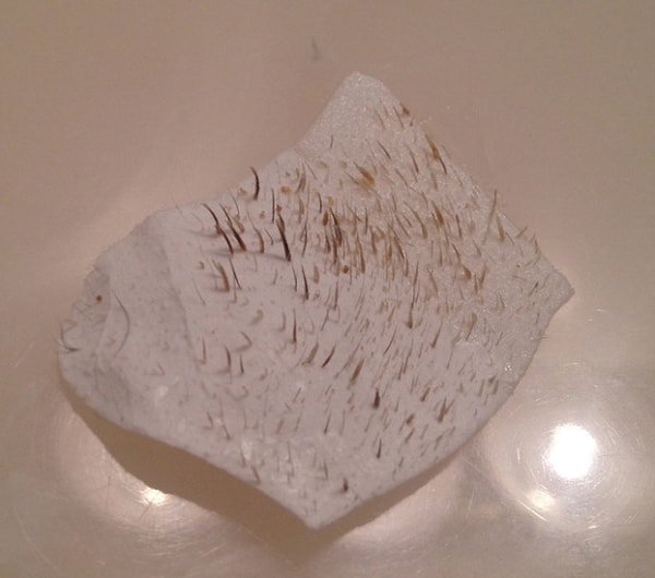 16. Любовалась использованной очищающей полоской для носа