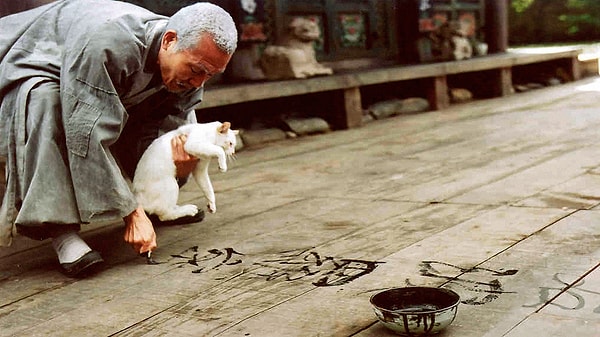 66. Весна, лето, осень, зима... и снова весна