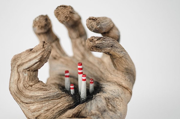 Но это все иллюзия, розыгрыш, в основе которых - исключительный талант Криса Уайта имитировать текстуру дерева, работая только лишь с керамикой, воском и акрилом.