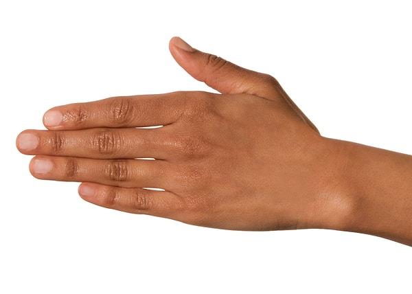 4. Yapılan araştırmalar, yüzük parmağı işaret parmağından daha uzun olan erkeklerin matematikte, kadınların ise sözel becerilerde daha başarılı olduğunu göstermektedir.