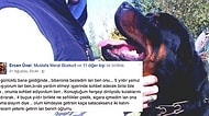 Köpeğini Değil, Dostu Pascal'ı Arayan Ercan Ünal Yaptığı Paylaşımla Yürekleri Burktu