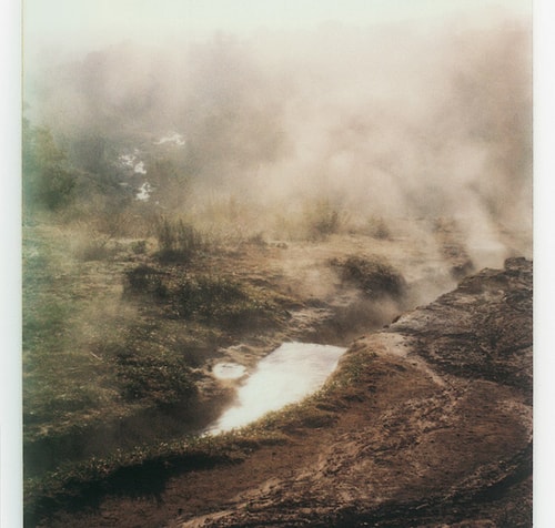 Tarkovsky'nin Polaroid Koleksiyonu Açık Artırmaya Çıkıyor
