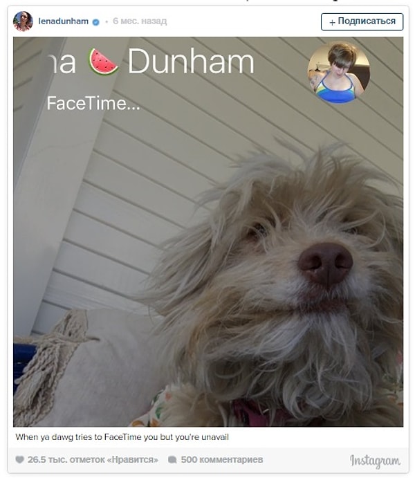 7. Лина Данэм, соскучившаяся по своей собаке
