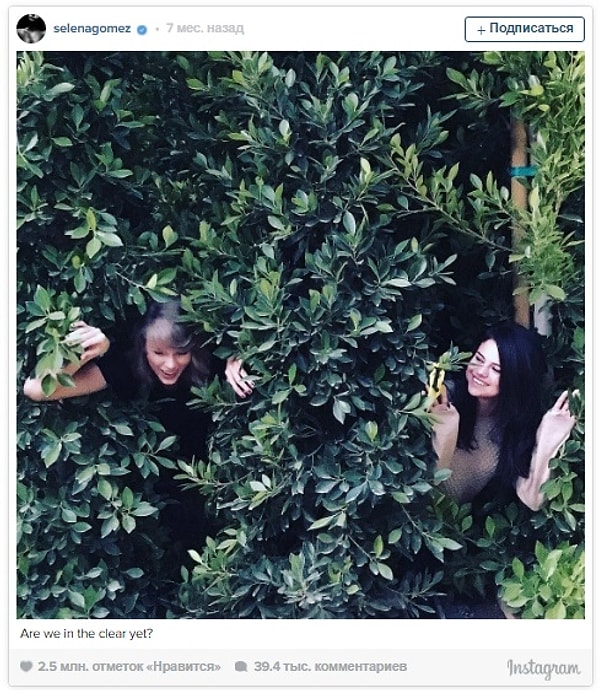 19. Тейлор Свифт и Селена Гомес прячутся в кустах
