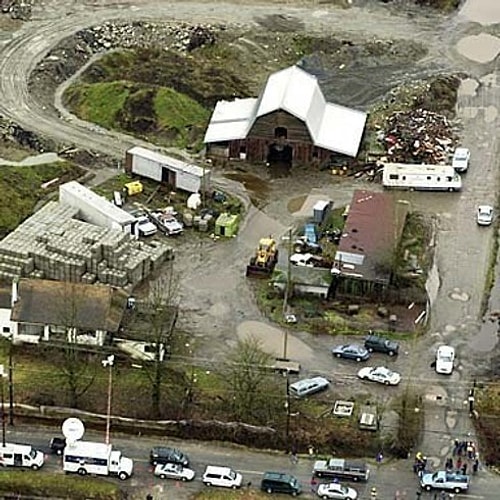 The Pig Farm (2011)