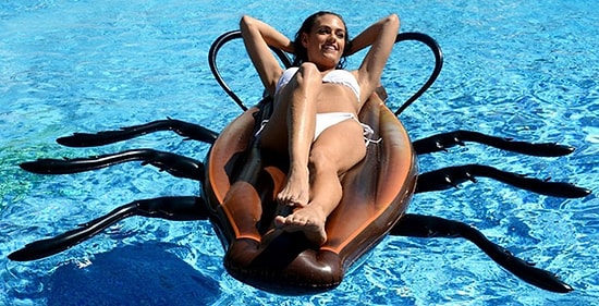 А не хотите ли вы поплавать на... таракане?