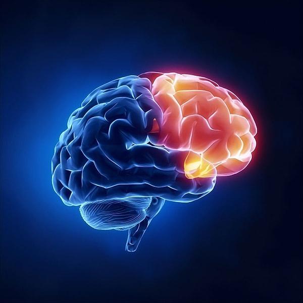 "Brain" isimli nöroloji dergisinde yayımlanan çalışmaya göre depresyon, beyinde bulunan belirli bağlantı noktalarının değişmesi sonucunda ortaya çıkıyor.