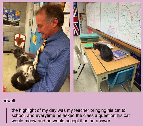 12. Ve kedisini sınıfa sokan öğretmenler, öğretmenlerimiz...