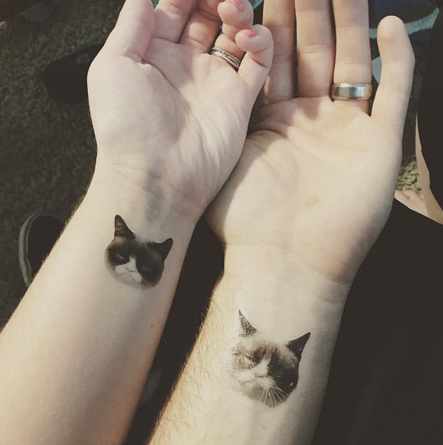 15. 🐱🐱