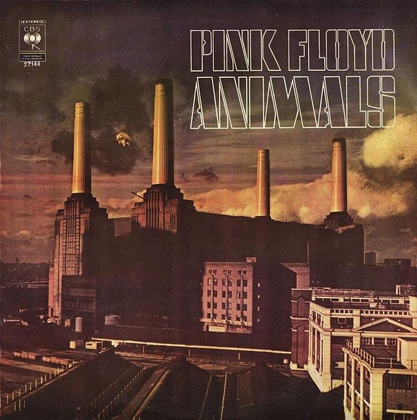 1977 yılında yayınlanan albümün kapağındaki domuzun uçurulması ilginç bir hikayeye dayanıyor