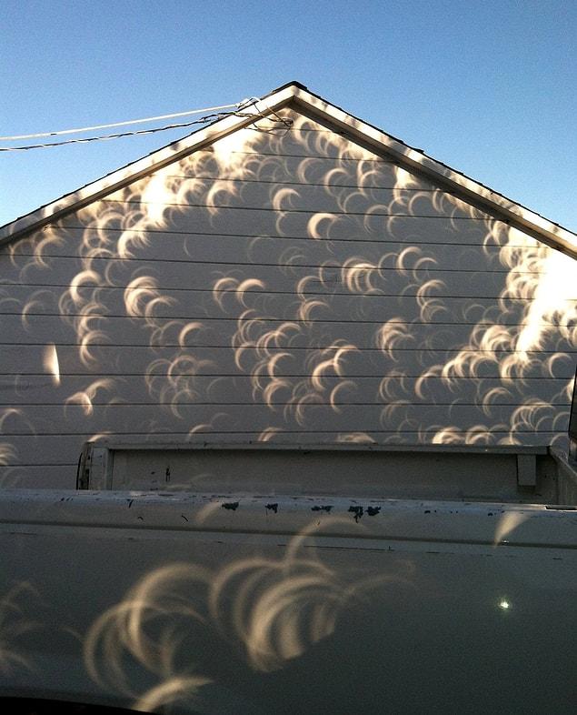 3. Shadow of a tree during the solar eclipse.