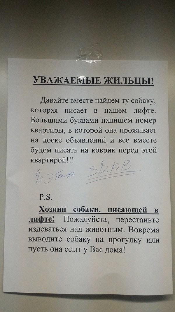 1. Владелец квартиры № 38, берегись! 😱