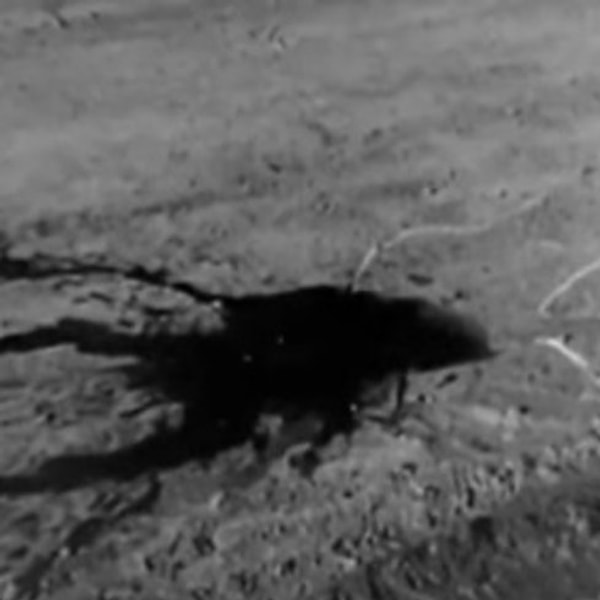 2. Зодиак (2007)