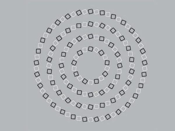 7. Bu görüntü sence bir spiral mi yoksa iç içe mükemmel çemberler mi?