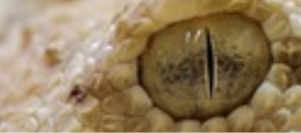 3. Легкие вопросы закончились. Теперь придеться немного подумать...