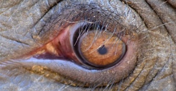 9. А этих? Вопрос не из легких...