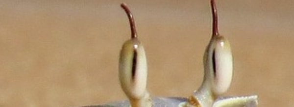 12. Приве-е-ет!