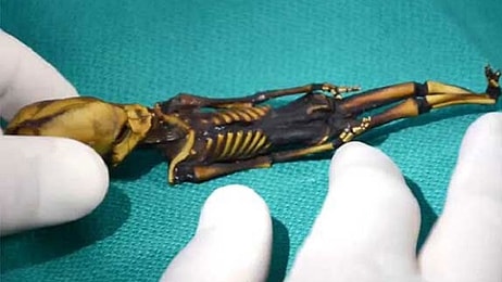 20 мозговыносящих исторических событий, показывающих, насколько загадочен наш мир