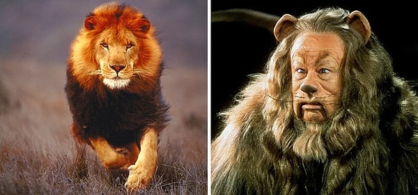 4. ДО - ПОСЛЕ