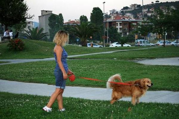7. Park ya da apartman önü gibi yerlerde sokakta gezdirdiğiniz köpeğinizin kakasını temizlemeniz gerekir.