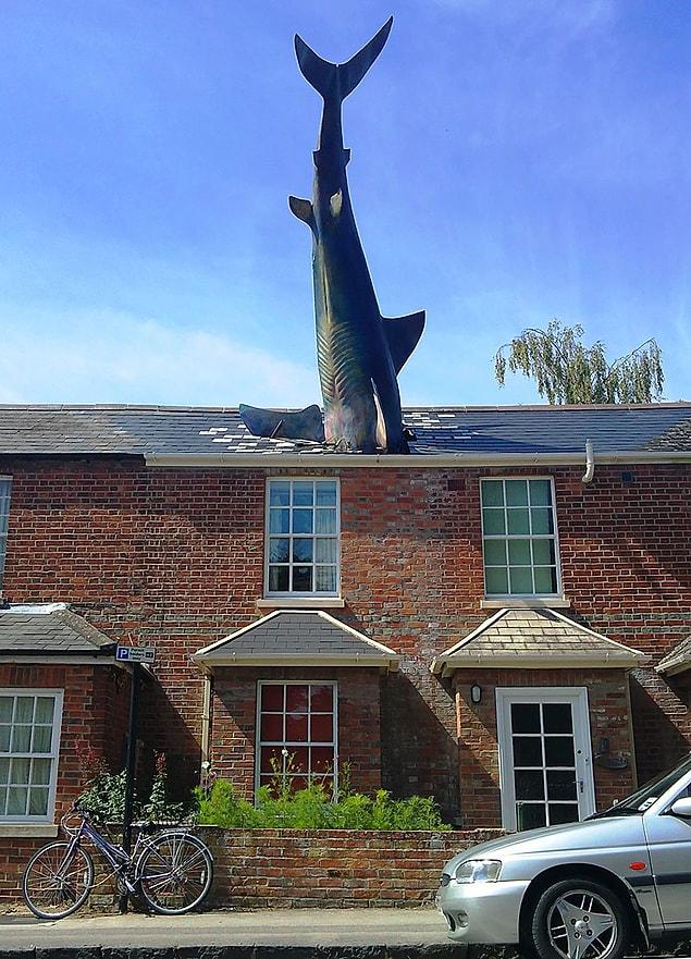 34. The Shark, Oxford, UK