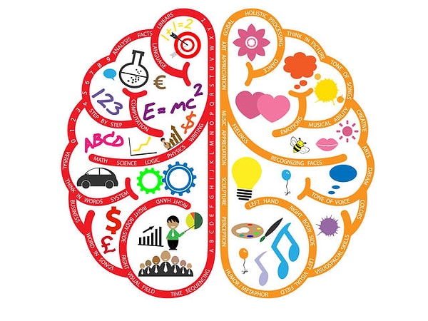 Самая думающая часть твоего тела - мозг