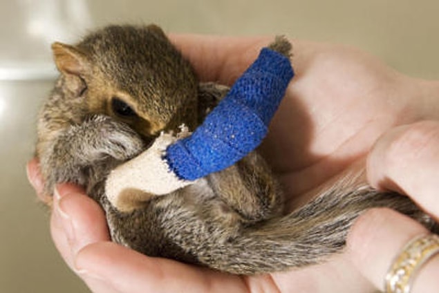 5. Was it worth it for a tiny nut, baby?