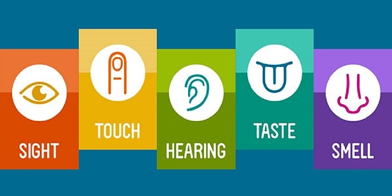 Тест: Какой частью тела ты думаешь?