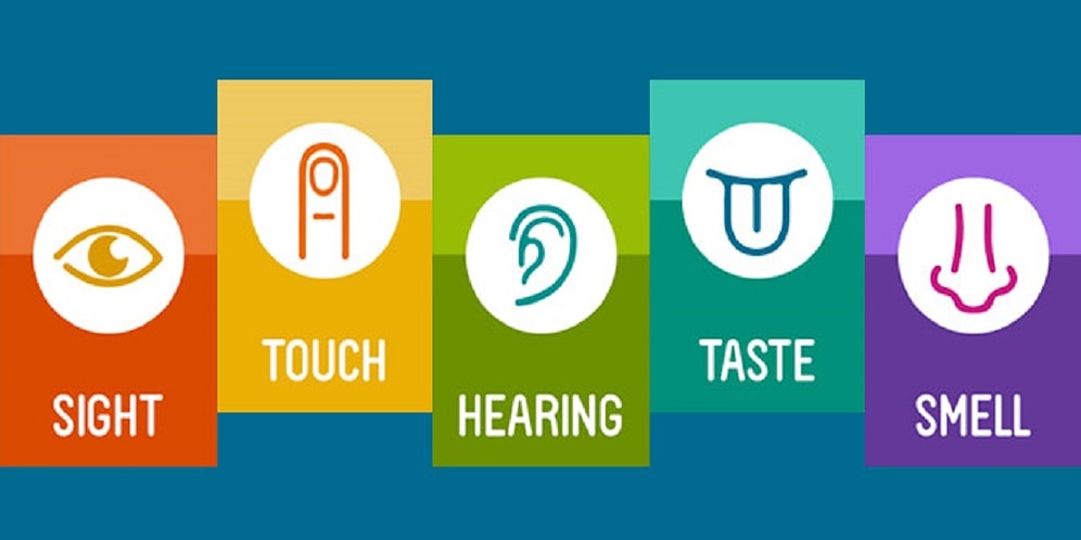 Тест: Какой частью тела ты думаешь?